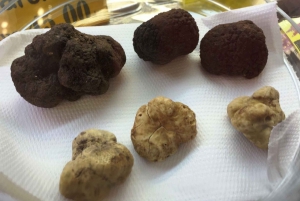 Florence: Food and Wine Walking Tour with Dinner
