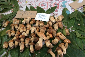Florence Food Market: 2-Hour Walking Tour at Sant’Ambrogio