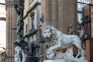 Firenze - tur i Medicis fotspor