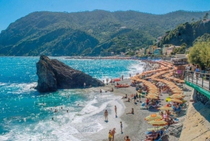 Firenze: Cinque Terre: Kokopäivän bussiretki lounaalla