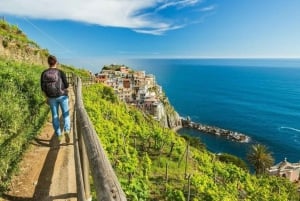 Firenze: Cinque Terre: Kokopäivän bussiretki lounaalla