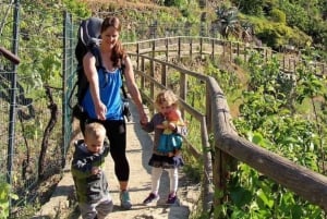 Firenze: Cinque Terre: Kokopäivän bussiretki lounaalla