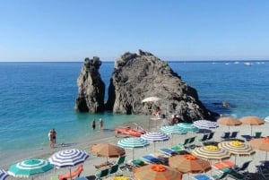 Firenze: Cinque Terre: Kokopäivän bussiretki lounaalla