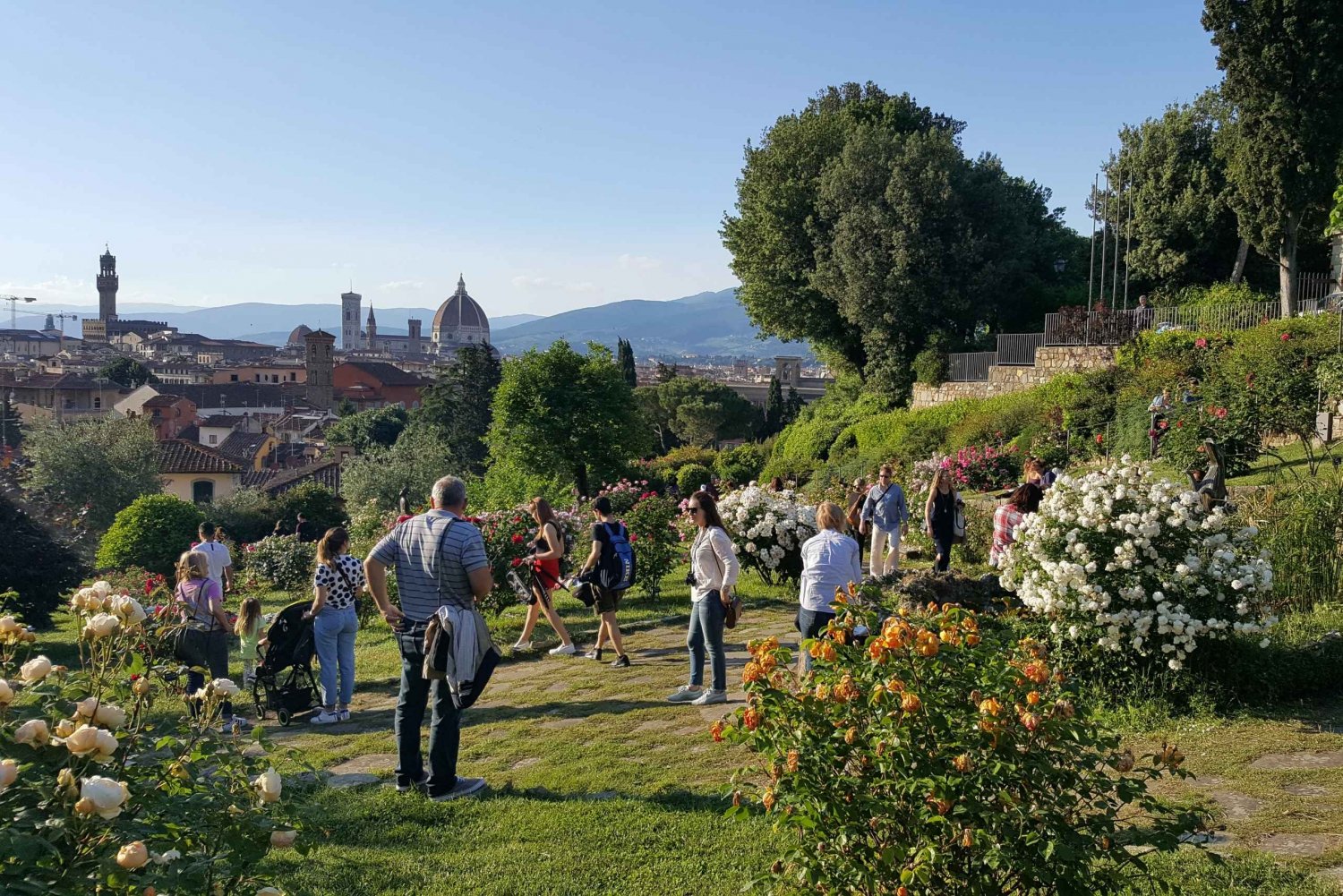 Florence: Full Day Guided Sightseeing Walking Tour