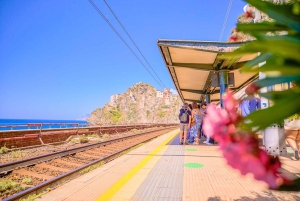 Florence: Dagvullende tour naar Cinque Terre en Pisa
