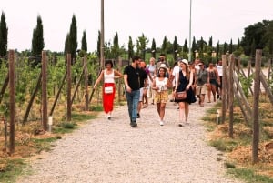 Florence: S. Gimignano, Siena, Chianti Lunch & Wine Tour