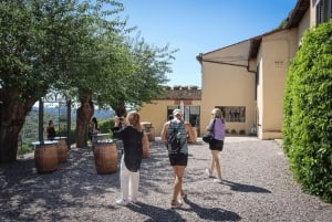 Florence: Golden Hour Chianti Wine Tour with Food Tastings