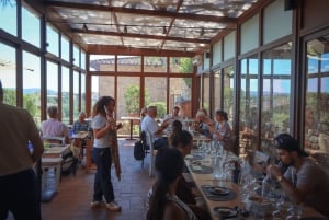 Florence: Golden Hour Chianti Wine Tour with Food Tastings