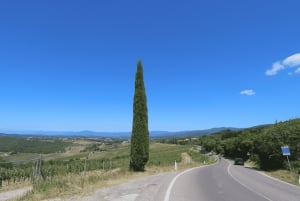 Florence: Golden Hour Chianti Wine Tour with Food Tastings