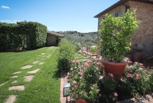 Florence: Golden Hour Chianti Wine Tour with Food Tastings