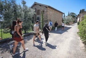 Florence: Golden Hour Chianti Wine Tour with Food Tastings