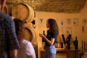 Florence: Golden Hour Chianti Wine Tour with Food Tastings