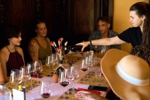 Florence: Golden Hour Chianti Wine Tour with Food Tastings