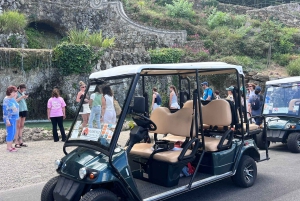 Passeio de carro de golfe em Florença, centro da cidade e Piazzale Michelangelo