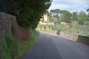 Excursion en voiturette de golf à Florence - Demi-journée - Visite guidée