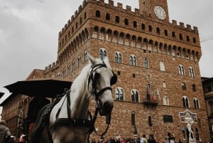 Florence: Rondleiding per golfkar door het historische centrum en Piazzale Michelangelo