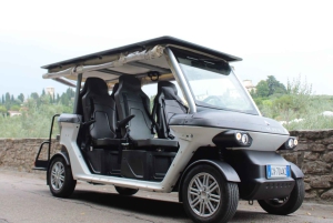 Florencia: Recorrido en carrito de golf con vistas panorámicas