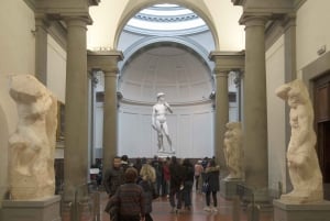Florence: Guided City Tour with Accademia Gallery