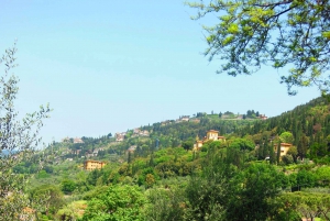 Florence: Guided Electric Bike Tour with Gelato