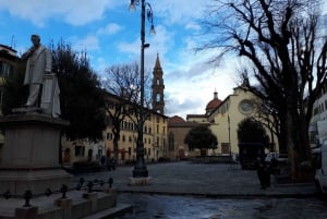 Florens: Guidad tur till Medici