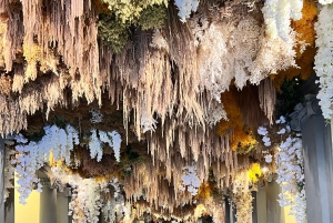 Florencja: Wycieczka z przewodnikiem po najstarszej aptece w Europie