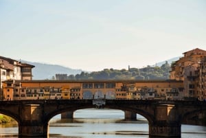 Firenze: tour guidato a piedi con cena a base di bistecca alla fiorentina