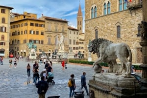 Firenze: Highlights byvandring med ekspertguide