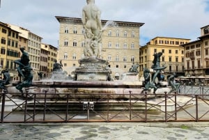 Firenze: Highlights byvandring med ekspertguide