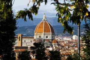 Firenze: Highlights byvandring med ekspertguide