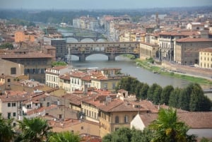 Florencja: najważniejsze wydarzenia i wycieczka po akademii w małych grupach