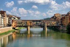 Florença: Destaques da Uffizi e da Accademia: tour guiado