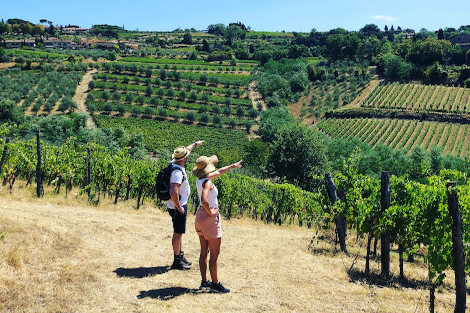 Firenze: Escursione in Toscana e vino Chianti 3 cantine e pranzo
