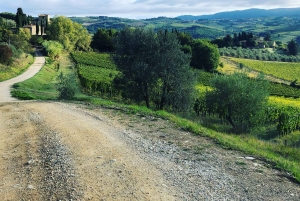 Firenze: Escursione in Toscana e vino Chianti 3 cantine e pranzo