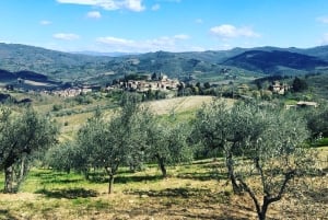 Firenze: Escursione in Toscana e vino Chianti 3 cantine e pranzo