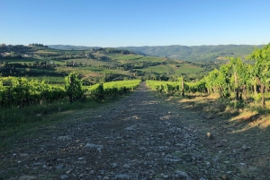 Firenze: Escursione in Toscana e vino Chianti 3 cantine e pranzo