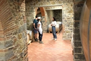 Firenze: Escursione in Toscana e vino Chianti 3 cantine e pranzo