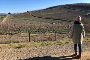Firenze: Escursione in Toscana e vino Chianti 3 cantine e pranzo