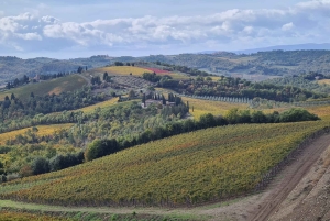 Firenze: Escursione in Toscana e vino Chianti 3 cantine e pranzo