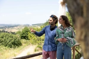 Firenze: Escursione in Toscana e vino Chianti 3 cantine e pranzo
