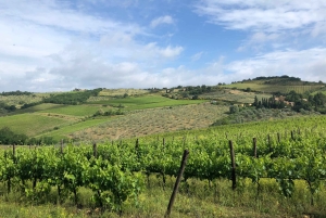 Firenze: Escursione in Toscana e vino Chianti 3 cantine e pranzo