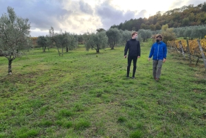 Firenze: Escursione in Toscana e vino Chianti 3 cantine e pranzo