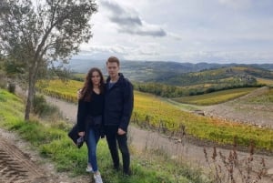 Firenze: Escursione in Toscana e vino Chianti 3 cantine e pranzo