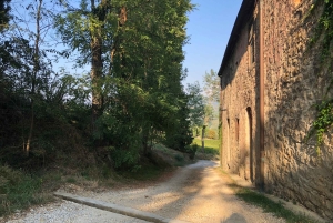 Firenze: Escursione in Toscana e vino Chianti 3 cantine e pranzo
