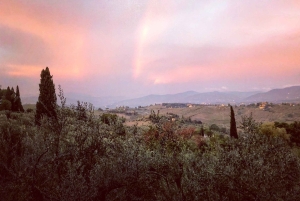 Firenze: Escursione in Toscana e vino Chianti 3 cantine e pranzo
