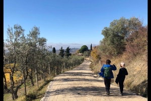 Firenze: Escursione in Toscana e vino Chianti 3 cantine e pranzo