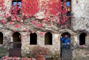Firenze: Escursione in Toscana e vino Chianti 3 cantine e pranzo