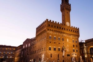Florence: Historic Center, Accademia & Uffizi Guided Tour
