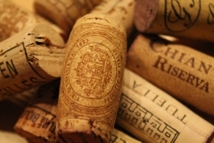 Florence: History Walking Tour with Wine Tasting