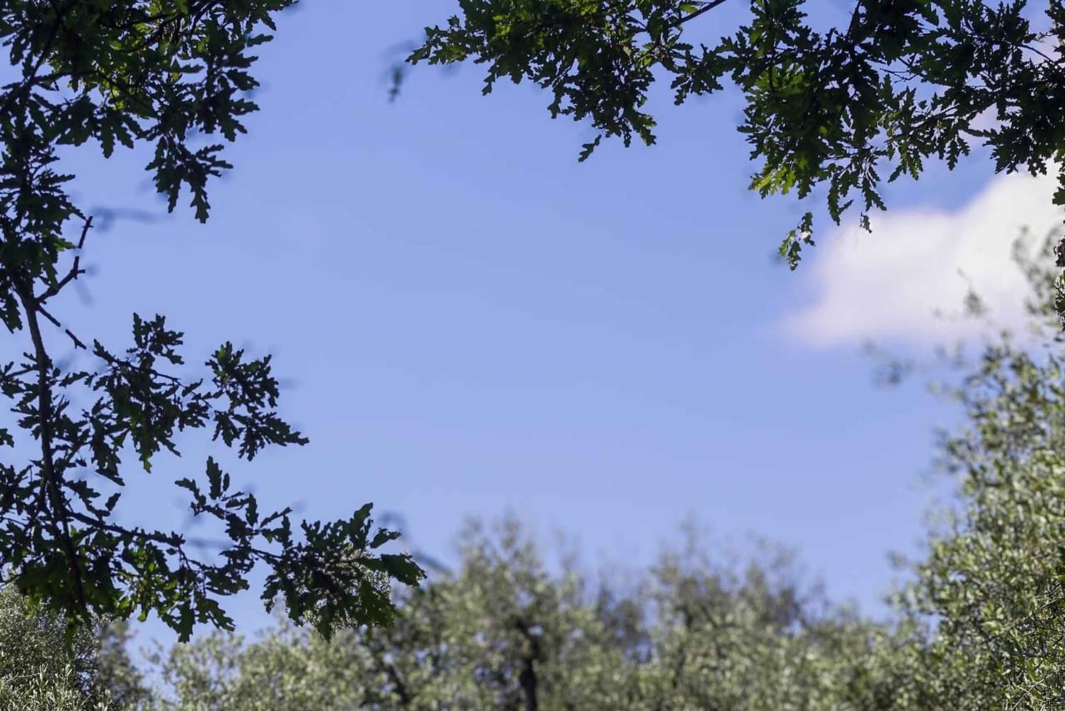 Firenze: Ridetur med italiensk aperitivo