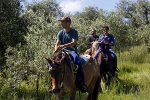 Firenze: Ridetur med italiensk aperitivo